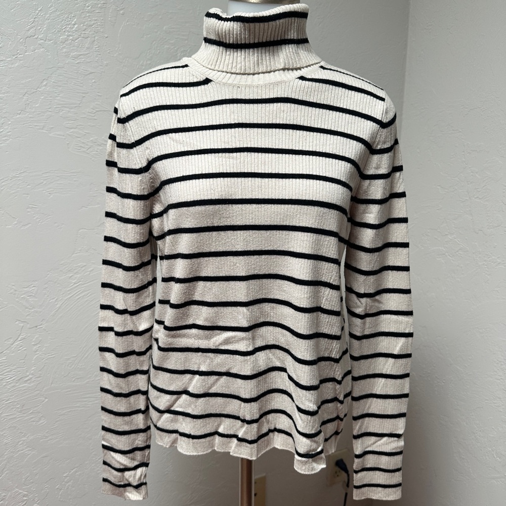 Target Black and White Striped Turtleneck Sweater